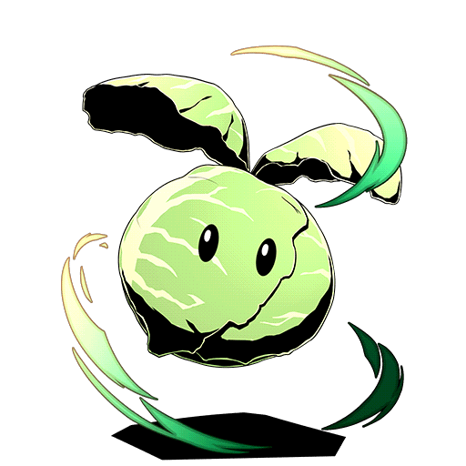 キャベツ